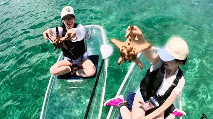 クリアサップに乗って海に入らずに、海中のヒトデを眺めて楽しんでいる様子