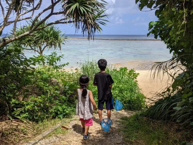 子供達と沖縄のイノー（磯遊び）体験に参加している