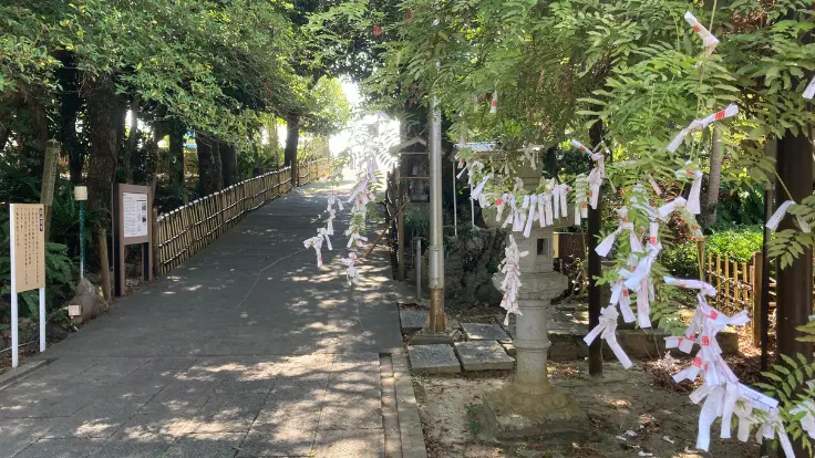 金武観音寺の境内に結ばれたおみくじ。木々の枝に白い紙が風になびき、参拝者の願いが静かに揺れている。