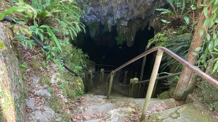 金武観音寺の鍾乳洞・日秀洞の入口。足元の石段が湿っており、暗がりの中に探検をためらうような雰囲気が漂う。