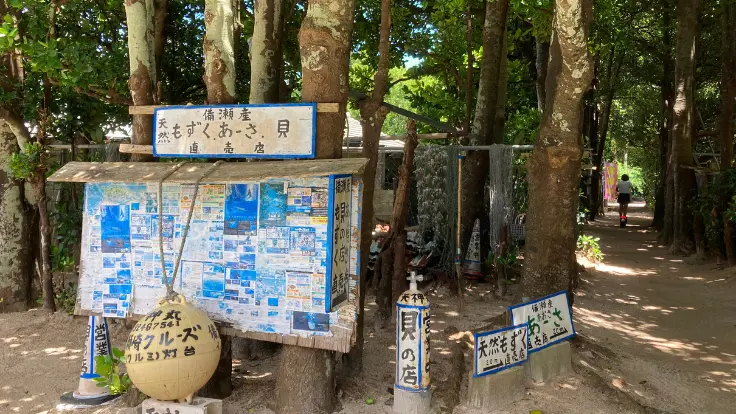 土の道と石垣に囲まれた、備瀬のフクギ並木。昔ながらの集落の風景が静かに残っている。