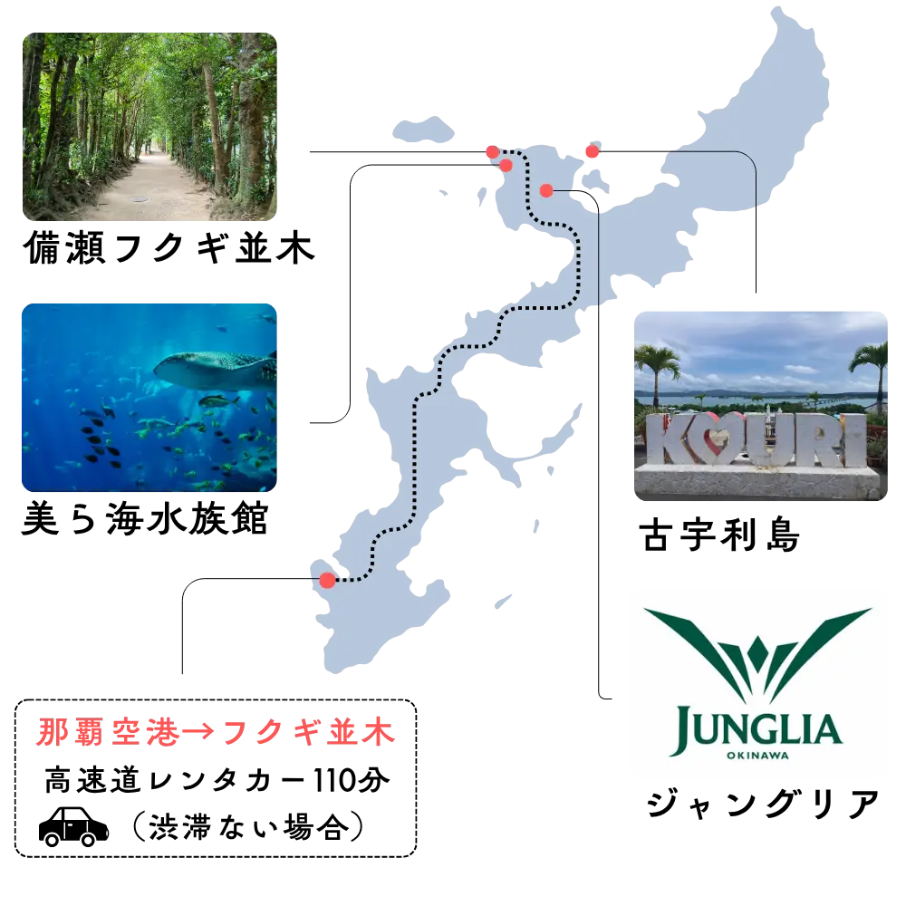 備瀬フクギ並木の周辺観光マップ、美ら海水族館、古宇利大橋、ジャングリア