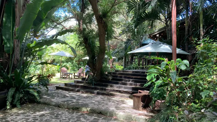 瀬底島のカフェ「fuucafe(フーカフェ)」の外観。緑に囲まれたログハウス風の建物。