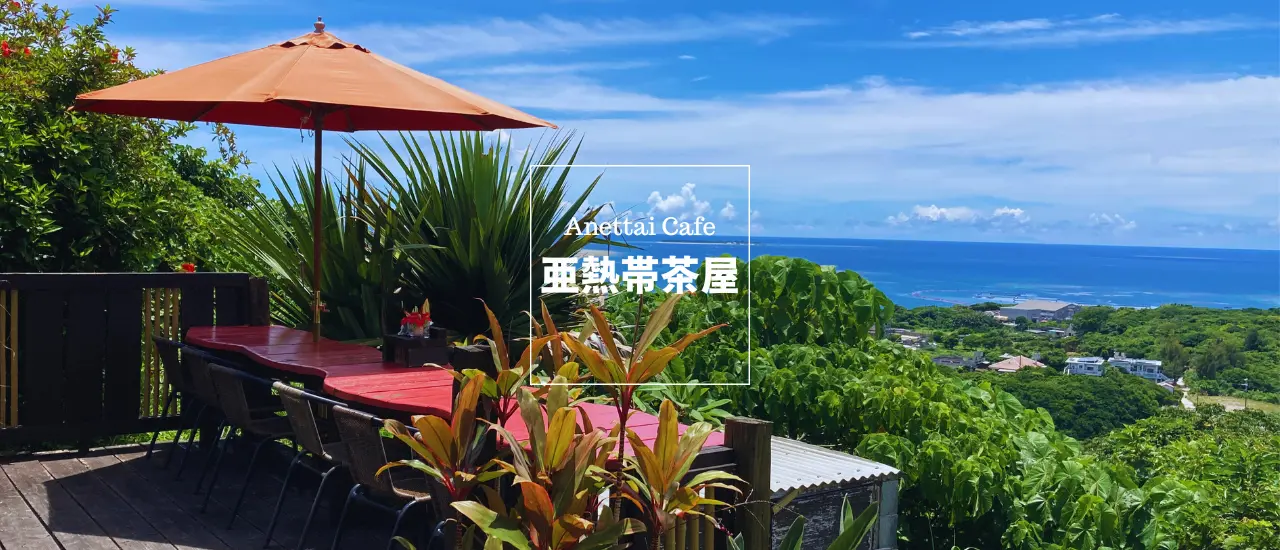 名護市本部の自然 海と森を一望できるテラス席