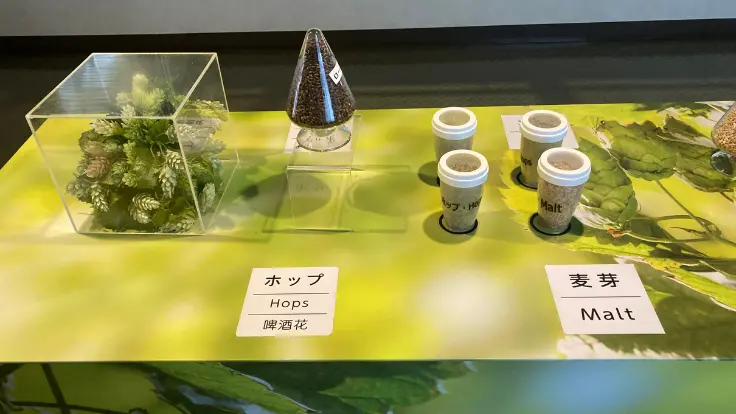 ホップと麦芽の実物が展示され、香りを体験できるオリオンハッピーパークの体験ブース