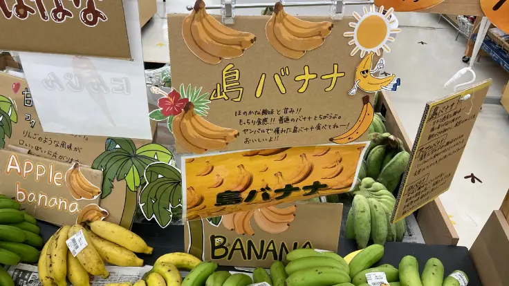 やんばる産の島バナナが店頭に並ぶ様子。小ぶりながらも甘みが凝縮された沖縄ならではのフルーツ。