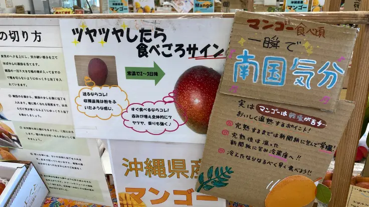 店頭に並ぶ完熟マンゴー。鮮やかなオレンジ色と甘い香りが漂う沖縄の旬の味覚。
