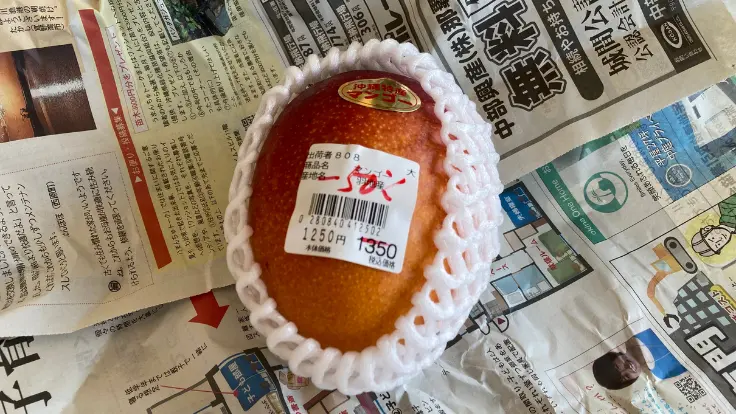 食べごろの熟したマンゴーが半額で販売されている様子。旅行中でも気軽に味わえる自分用マンゴー。