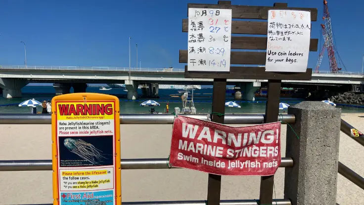 10月の波の上ビーチ。秋でも太陽がまぶしく、沖縄らしい青い海で海遊びを楽しむ人々の姿が見られる。