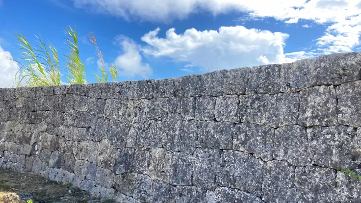 中城城跡の一の郭に残る布積みの城壁。石が丁寧に積み上げられ、美しい曲線を描く保存状態の良い石垣。