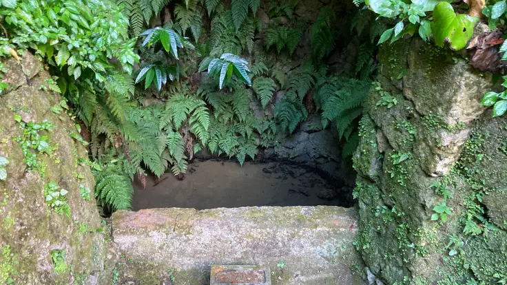 中城城跡の井戸。底には水がたまり、あいかた積みによる強度のある石組みで守られている。