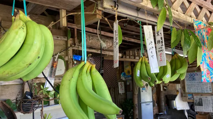 今帰仁城跡入口の軒先につるされたバナナ。沖縄らしい素朴な光景が訪れる人を和ませる。