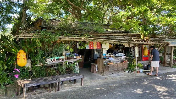 今帰仁城跡入口で味わえる搾りたてのさとうきびジュース。沖縄でも珍しい新鮮な風味を体験できる。