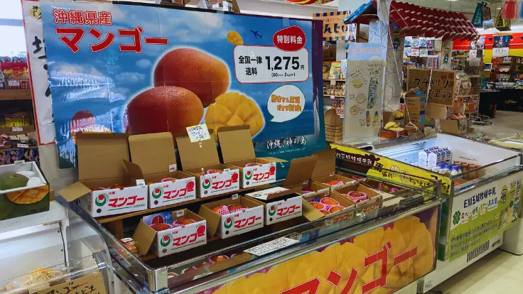 南城市地域物産館に並ぶ完熟マンゴー。沖縄ならではの濃厚な甘みと香りが魅力のお土産として人気です