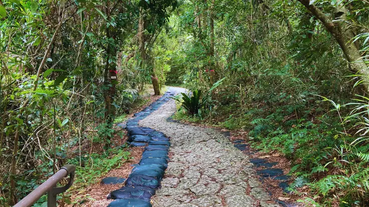 斎場御嶽の石畳の参道。木々に囲まれた緑の中を静かに歩くことができます