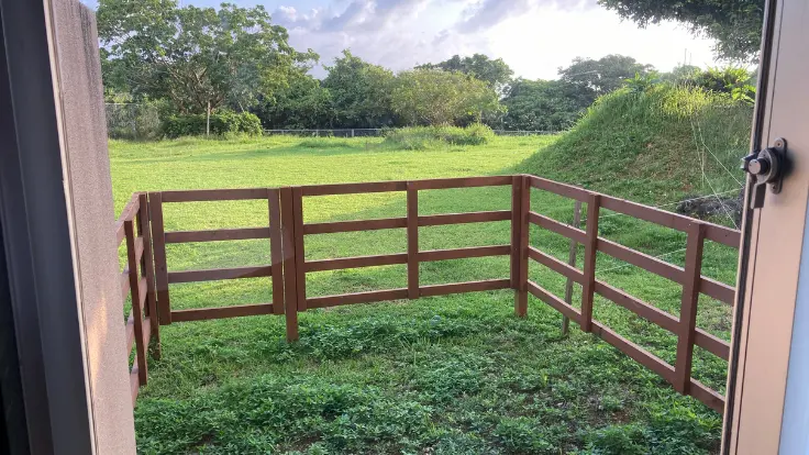 ユインチホテル南城の客室から見える緑豊かな風景。木々の向こうには空が広がり、穏やかな景色が楽しめます