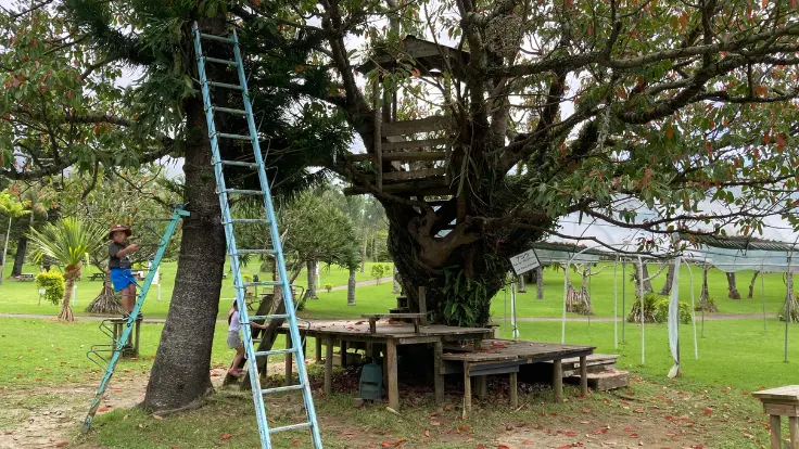 東南植物楽園にある子ども向けアスレチック遊具。木陰の中でのびのび遊べて、家族連れに人気。