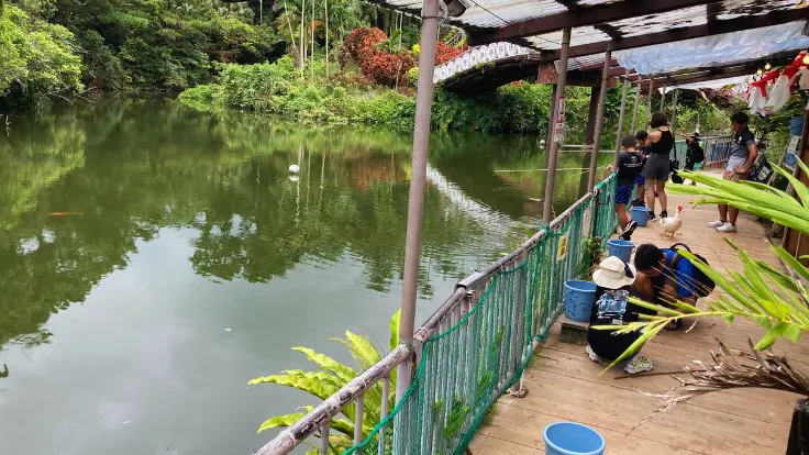 東南植物楽園にある釣り堀体験コーナー。夏休みに人気の子ども向けアクティビティ。