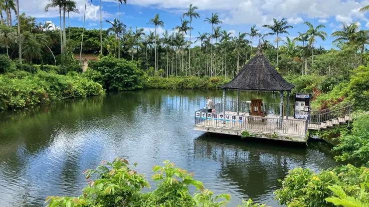 東南植物楽園の水上楽園エリア。熱帯植物が池を囲む豊かな景色。
