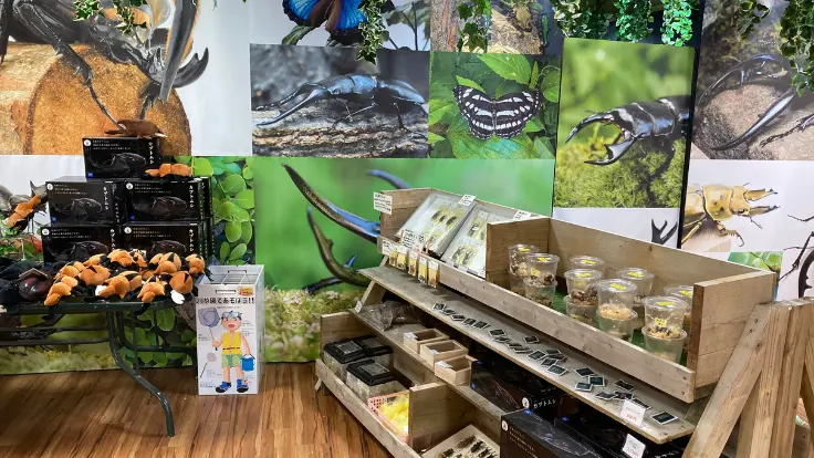東南植物楽園で開催される昆虫展の展示コーナー。夏休み期間にあわせた親子向けのイベント。
