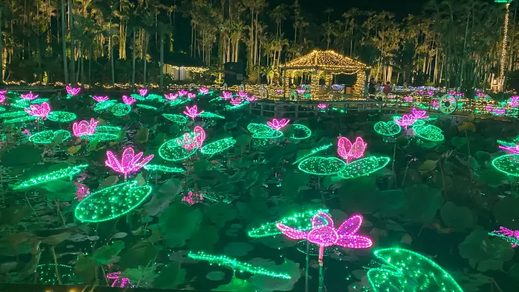 東南植物楽園のハス池を彩るイルミネーション。水面いっぱいに広がる光が幻想的で圧巻のスケール。