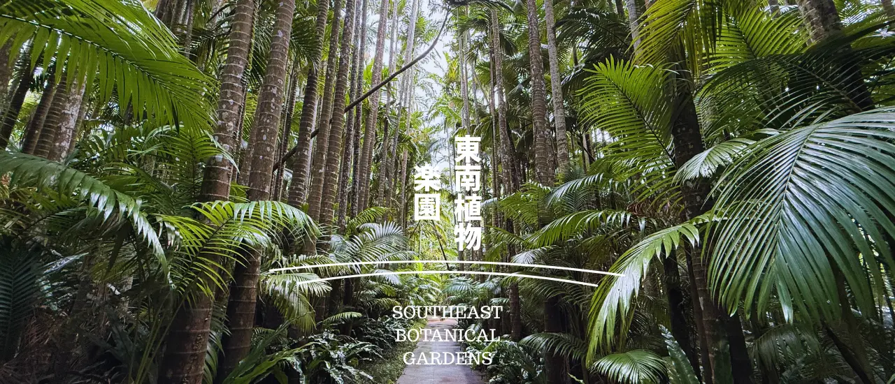 東南植物楽園のユスラヤシ並木と緑豊かな景観。動物ふれあいも楽しめる人気スポット