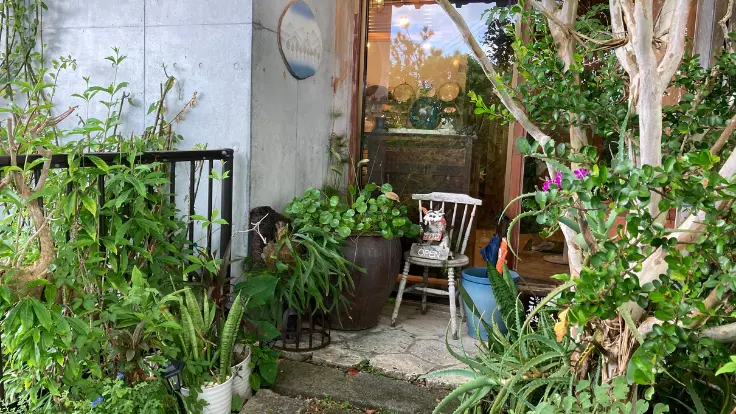 緑に囲まれた、どこか懐かしいカフェの入り口