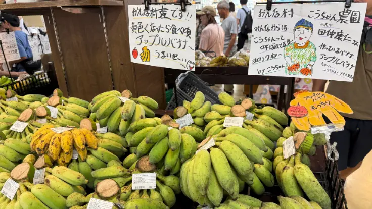 アップルバナナの房。小ぶりで甘みが濃く、持ち歩きにも便利。