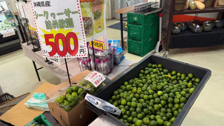 シークヮーサーの山積み売り。袋詰めで好きな実を選べる直売コーナーの様子。