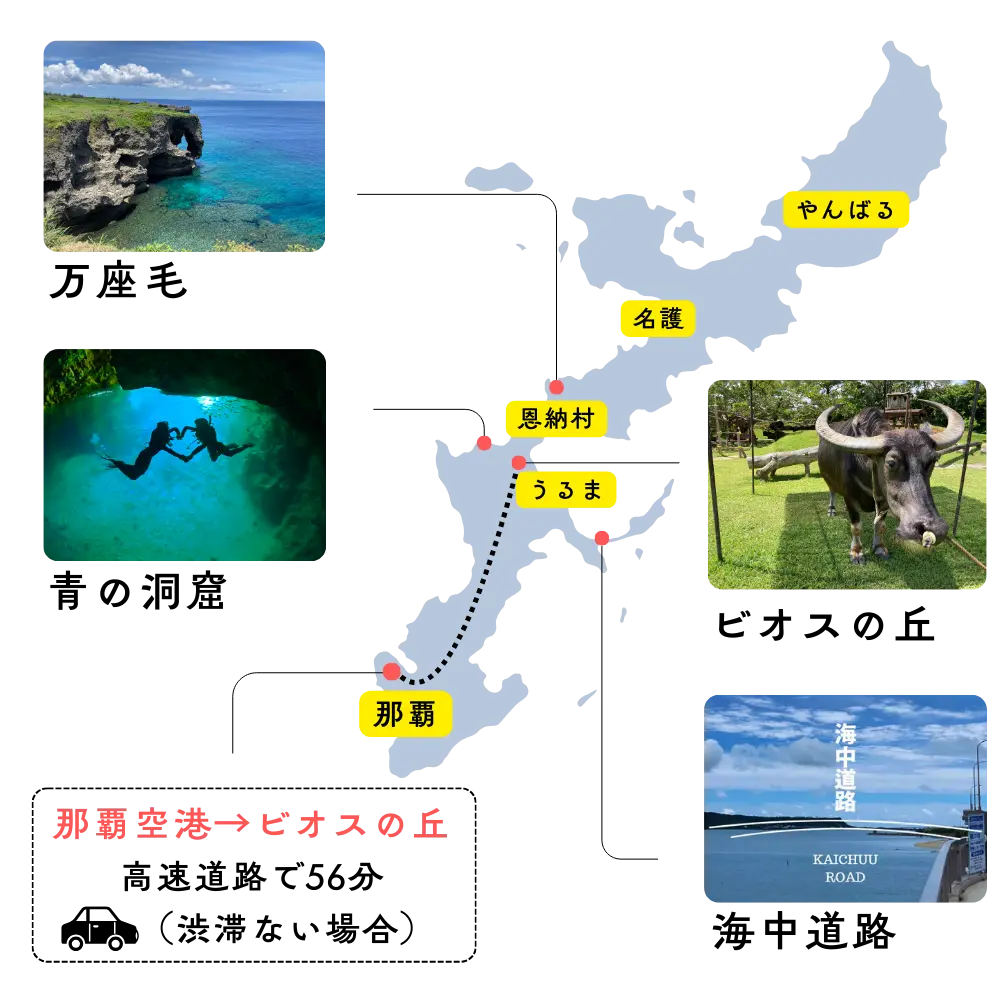 ビオスの丘うるま市周辺観光マップ