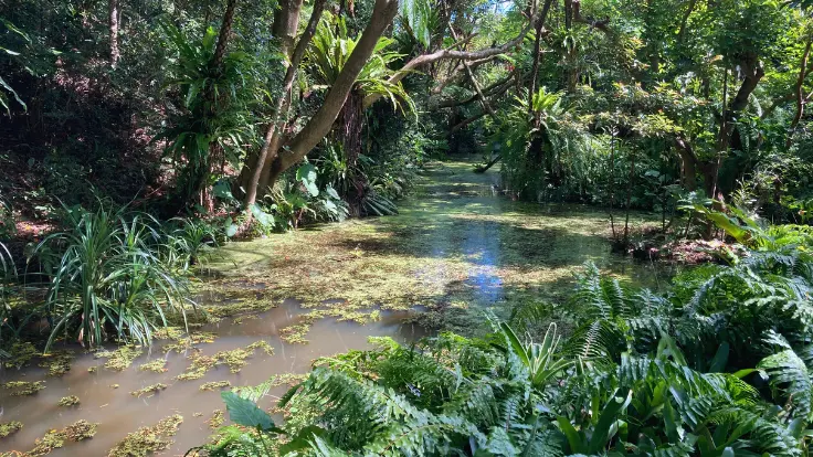 ビオスの丘の湖水鑑賞舟から見える、緑に包まれたジャングルのような風景。非日常感あふれる景観。