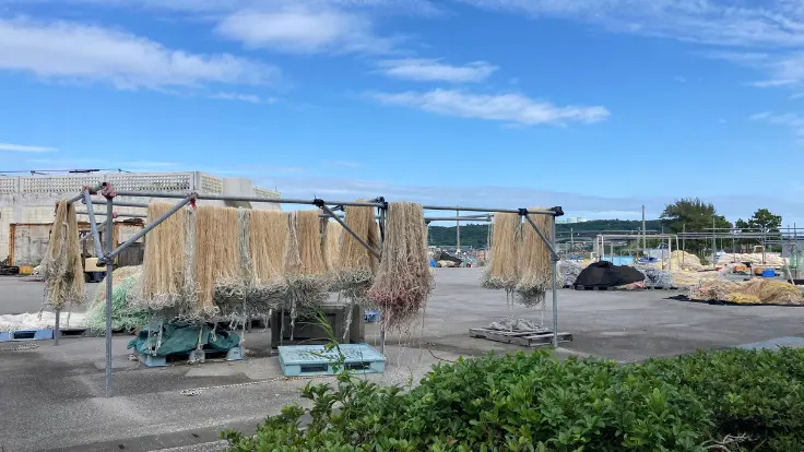 浜比嘉島の海に広がるもずく養殖ネット。透明度の高い海に網が整然と並び、島ならではの素朴な漁の風景が広がっている。