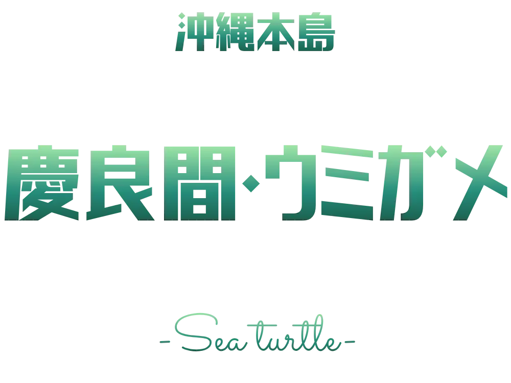 慶良間・ウミガメ体験ページのロゴ画像