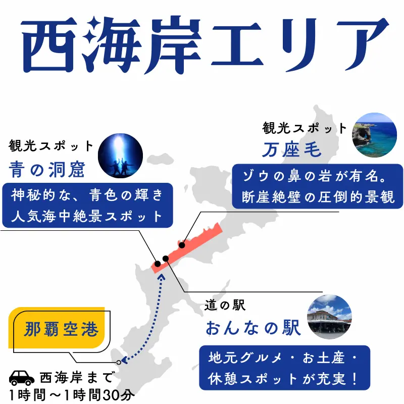 沖縄本島西海岸エリアの地図