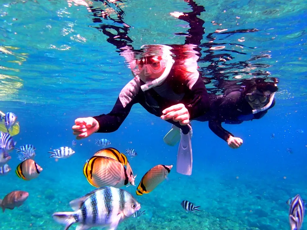 沖縄アクティビティ シュノーケリングツアー特集