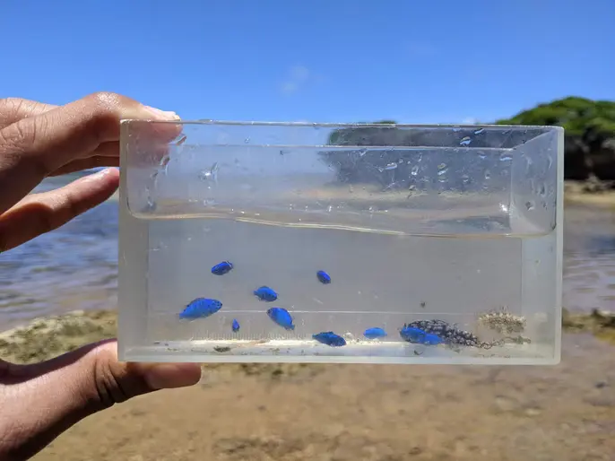 真栄田海岸から眺める青く広がる海と岩場の風景