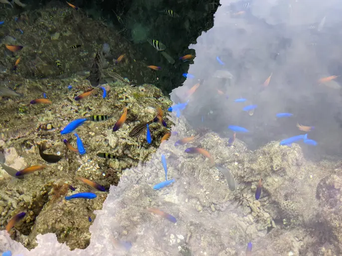 琉球石灰岩が連なる崖とその足元に広がる真栄田の海