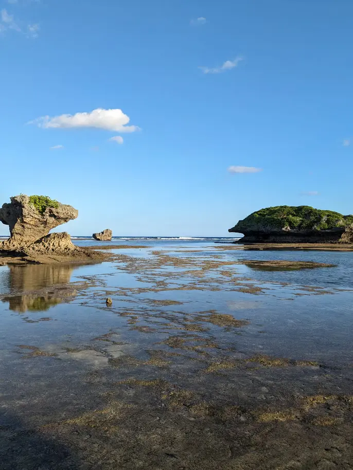磯遊びアクティビティ海の生物02